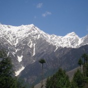 Manali (16)