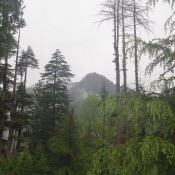 Manali (18)